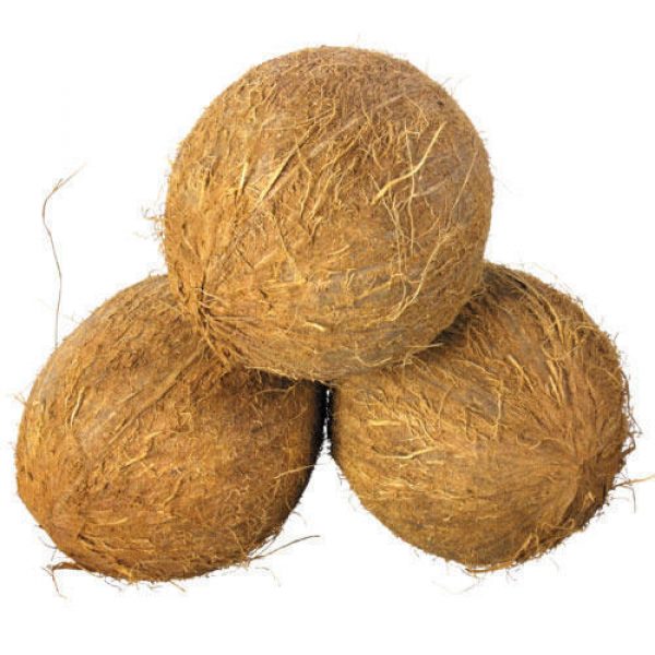 fully-husked-coconut-500x500
